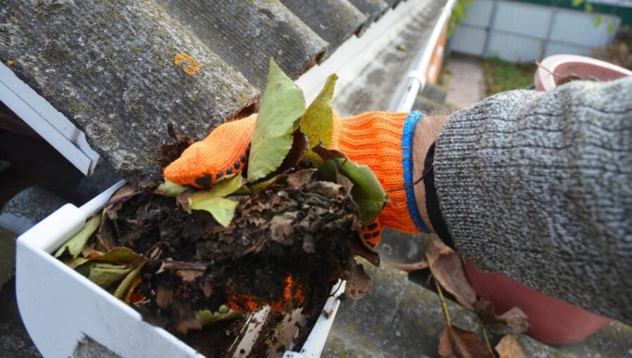 Gutter Cleaning